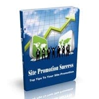 Successo della promozione del sito