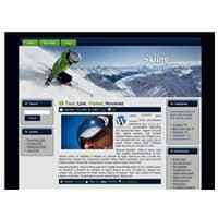 Sci – Tema WP