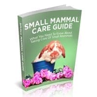 Guida alla Cura dei Piccoli Mammiferi