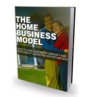Il modello di business domestico