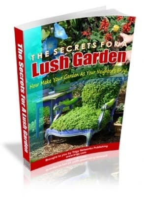 I segreti di un giardino lussureggiante