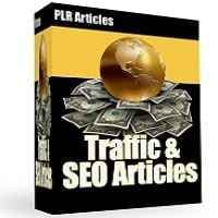 Traffic & Articoli SEO