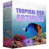 Contenuto PLR di pesce tropicale