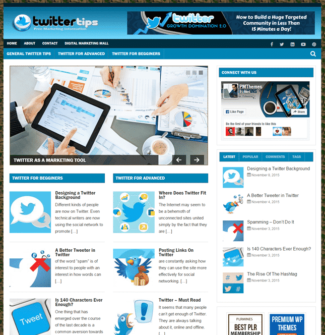 Blog PLR Nicchia Twitter