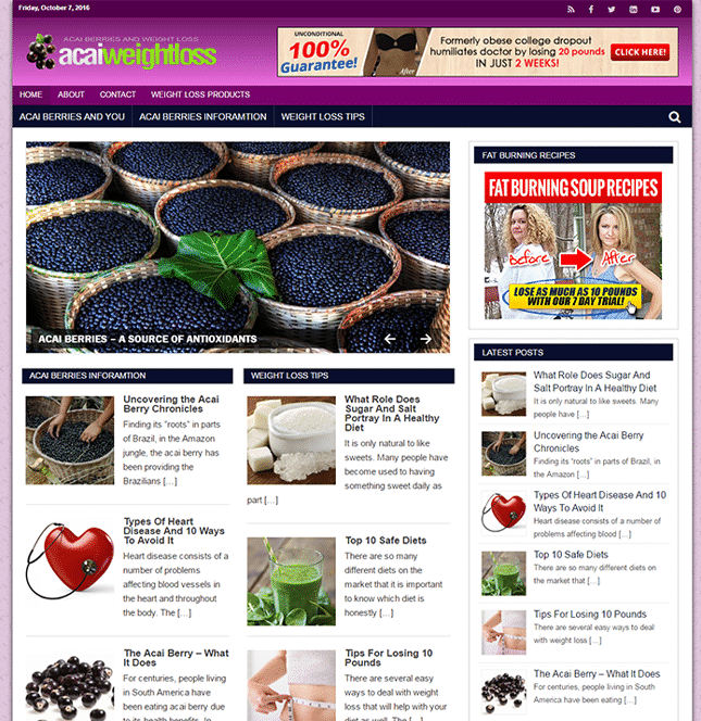 Weight Loss Acai PLR Blog